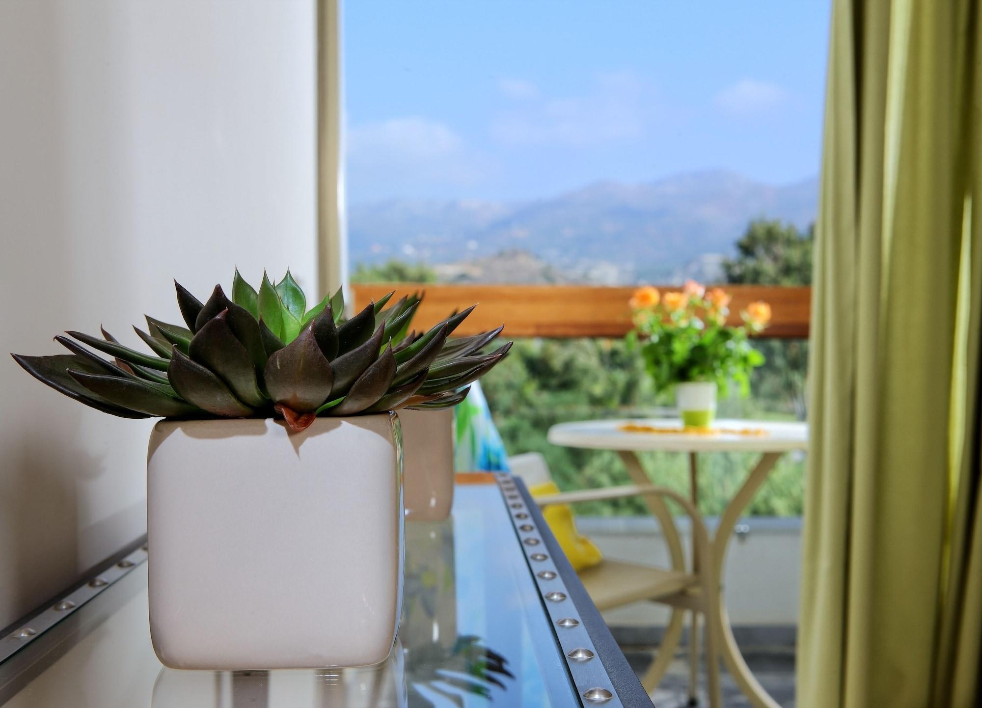 Sitia Beach City Resort & Spa Bagian luar foto A smart planter